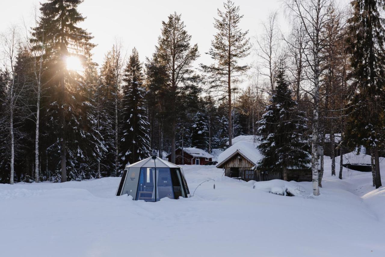 Ollero Eco Lodge Рованиеми Екстериор снимка