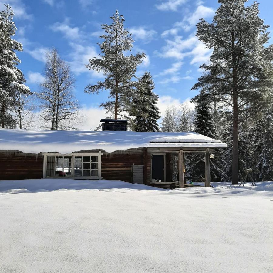 Ollero Eco Lodge Рованиеми Екстериор снимка