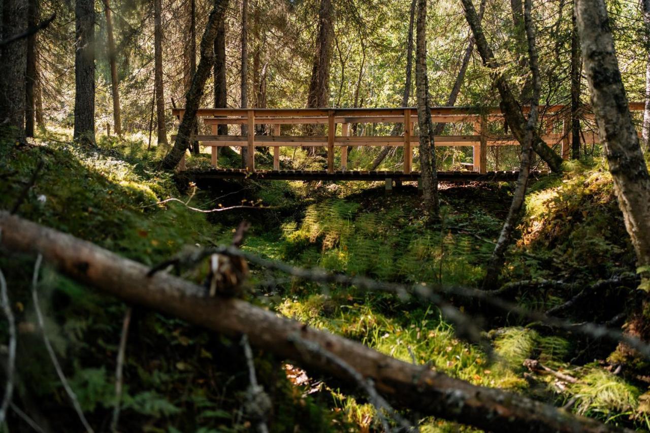 Ollero Eco Lodge Рованиеми Екстериор снимка