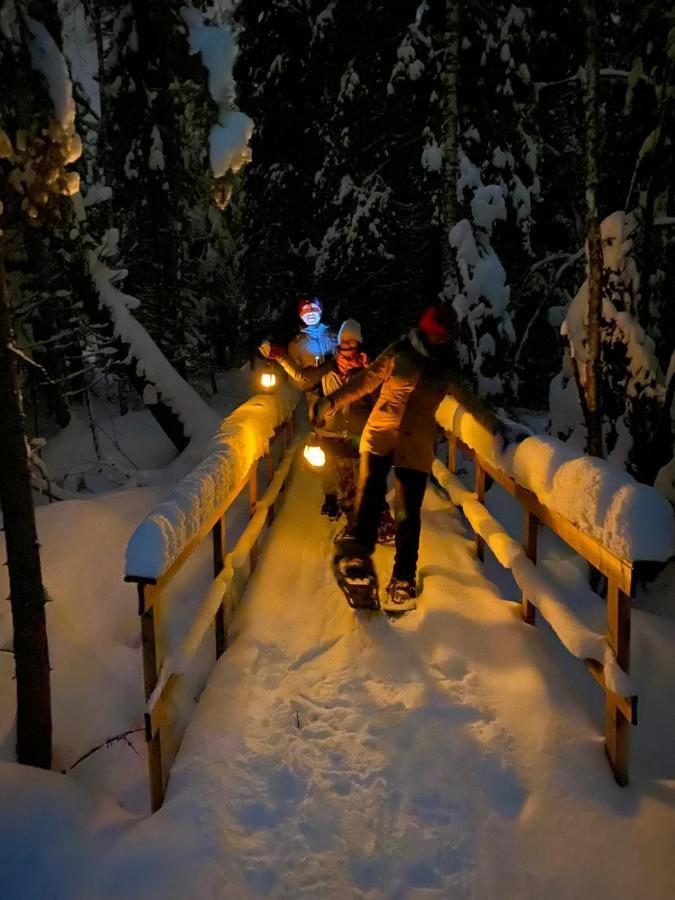 Ollero Eco Lodge Рованиеми Екстериор снимка