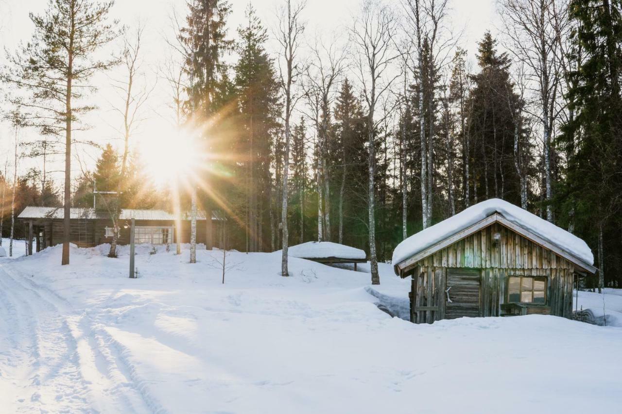 Ollero Eco Lodge Рованиеми Екстериор снимка